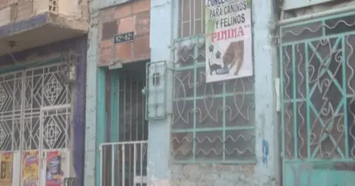 CONCENTRADOS PARA CANINOS Y FELINOS PININA CONCENTRADOS PARA CANINOS Y FELINOS PININA